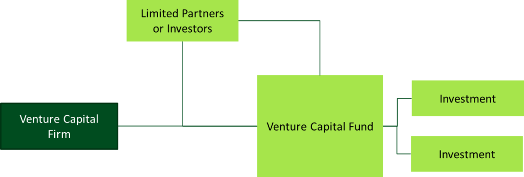 VC Firm Structure